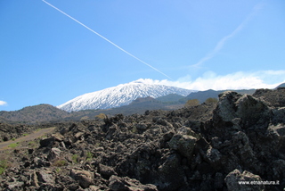 nte Egitto-29-04-2023 10-01-23